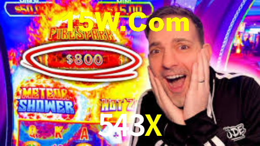 Programa VIP 543X